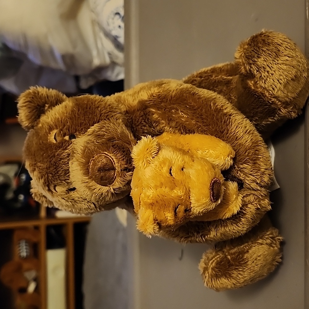 Stuffed Teddy Bear with a baby Stuffed Teddy Bear 🧸 🐻 🐻‍❄